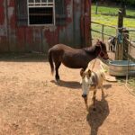Jenny and Molly