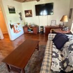 Living room with pullout couch