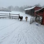 Jenny and Molly in the snow