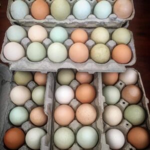 Dozen Farm Fresh Eggs